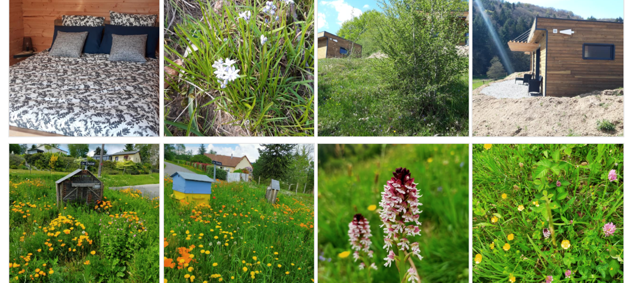 Hameau Les 3 Châtaignes Saint Sylvestre, Limoges, Haute-Vienne, Nouvelle-Aquitaine, nature